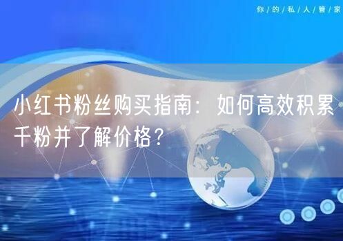 小红书粉丝购买指南：如何高效积累千粉并了解价格？