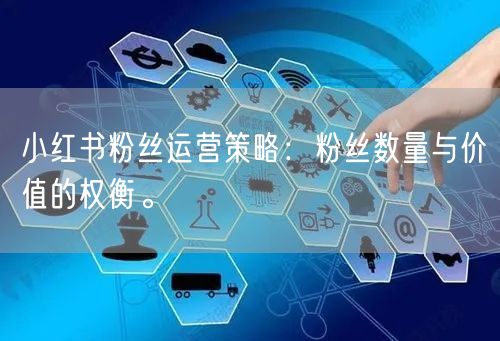 小红书粉丝运营策略：粉丝数量与价值的权衡。