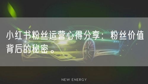 小红书粉丝运营心得分享：粉丝价值背后的秘密。