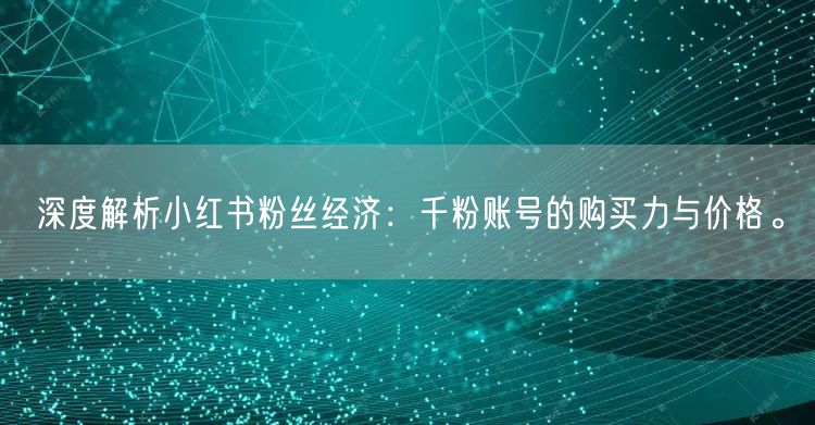 深度解析小红书粉丝经济：千粉账号的购买力与价格。