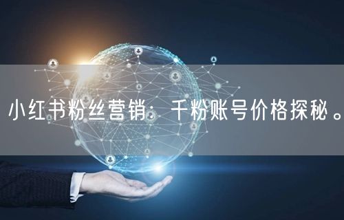 小红书粉丝营销：千粉账号价格探秘。