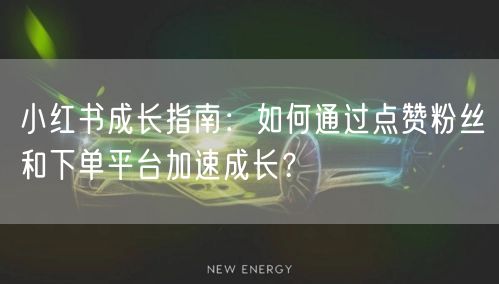 小红书成长指南：如何通过点赞粉丝和下单平台加速成长？