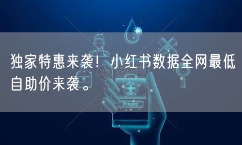 独家特惠来袭！小红书数据全网最低自助价来袭。