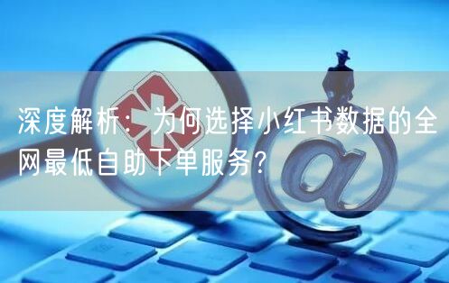 深度解析：为何选择小红书数据的全网最低自助下单服务？