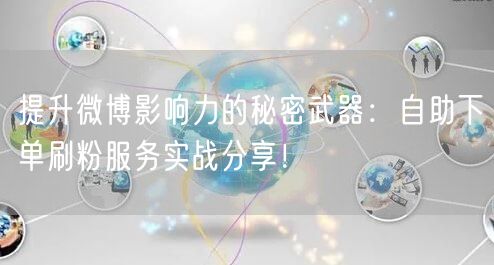 提升微博影响力的秘密武器：自助下单刷粉服务实战分享！