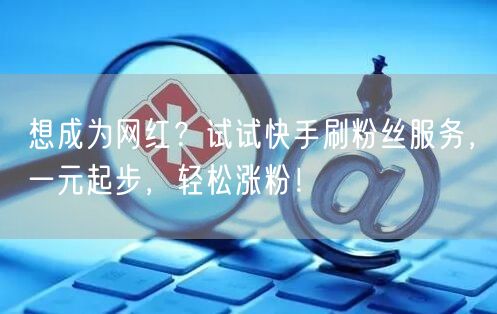 想成为网红？试试快手刷粉丝服务，一元起步，轻松涨粉！