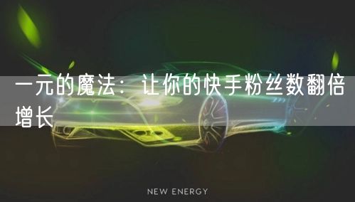 一元的魔法：让你的快手粉丝数翻倍增长