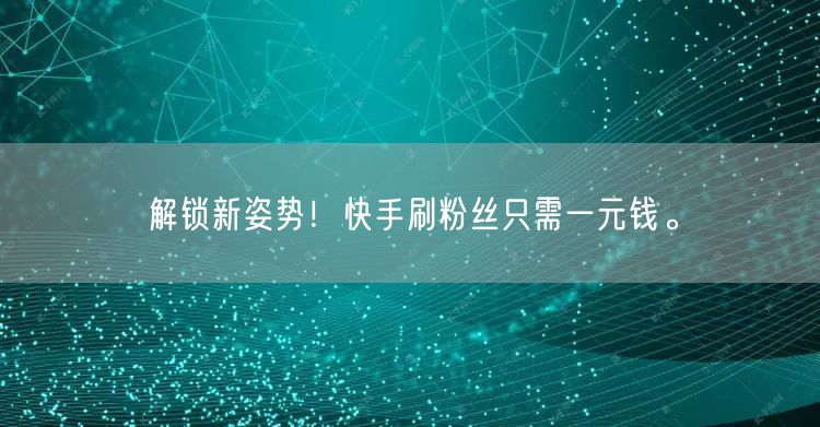 解锁新姿势!快手刷粉丝只需一元钱。