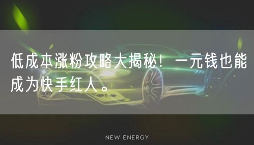 低成本涨粉攻略大揭秘!一元钱也能成为快手红人。