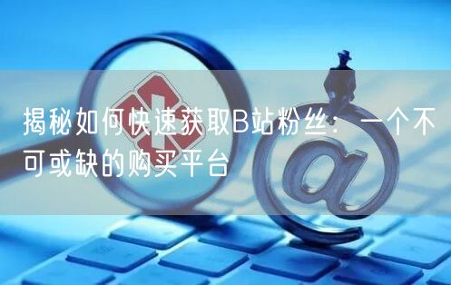 揭秘如何快速获取B站粉丝：一个不可或缺的购买平台