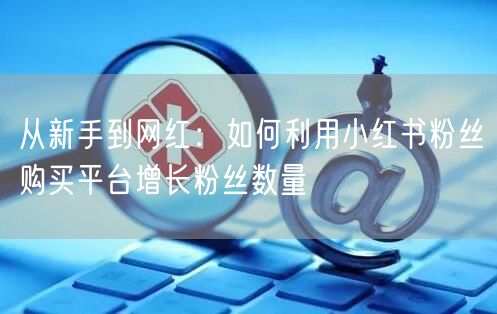 从新手到网红：如何利用小红书粉丝购买平台增长粉丝数量