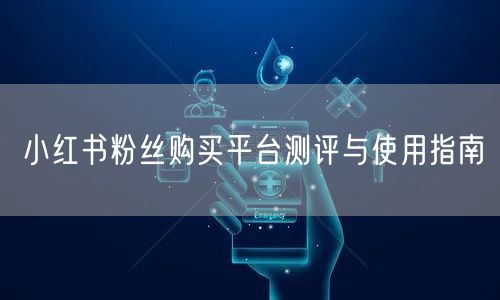 小红书粉丝购买平台测评与使用指南