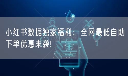 小红书数据独家福利：全网最低自助下单优惠来袭!