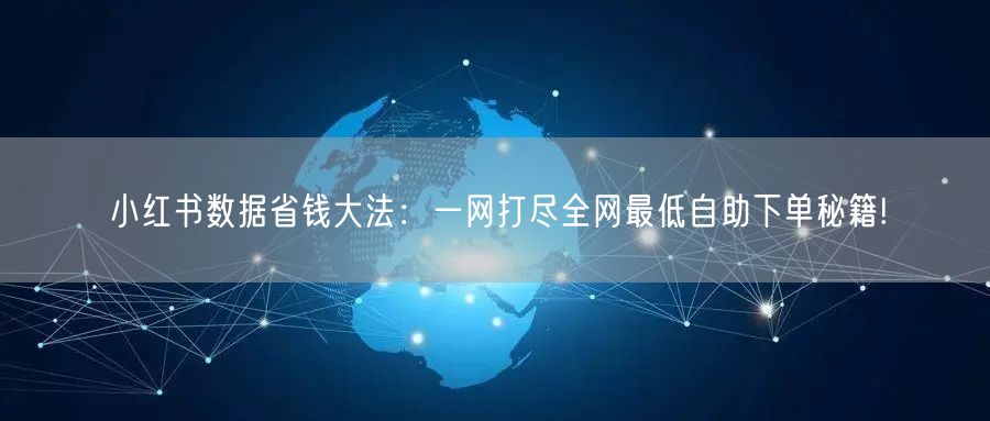 小红书数据省钱大法：一网打尽全网最低自助下单秘籍!