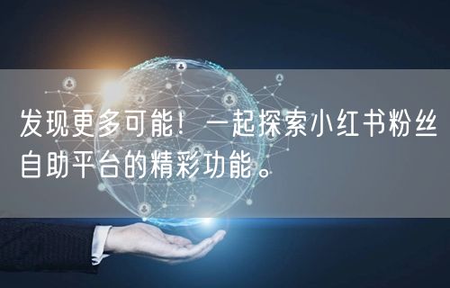发现更多可能！一起探索小红书粉丝自助平台的精彩功能。