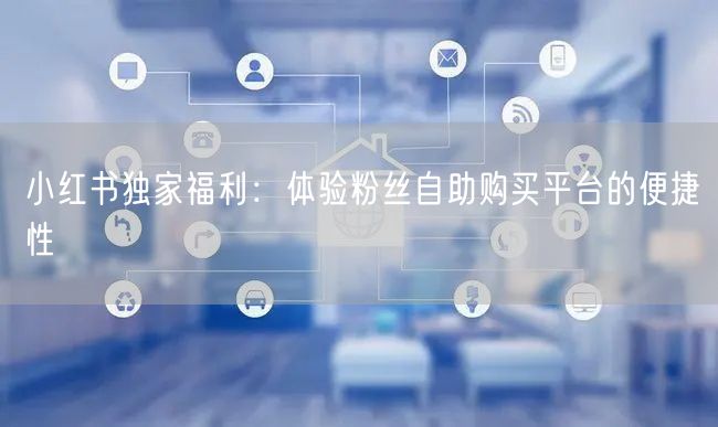 小红书独家福利：体验粉丝自助购买平台的便捷性