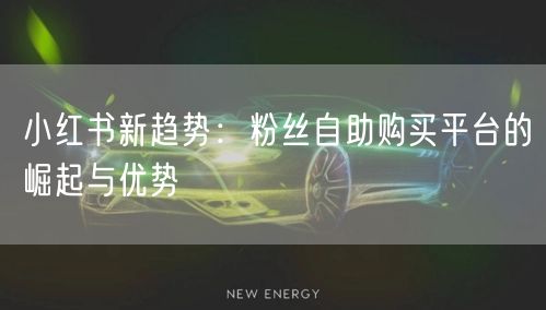 小红书新趋势：粉丝自助购买平台的崛起与优势