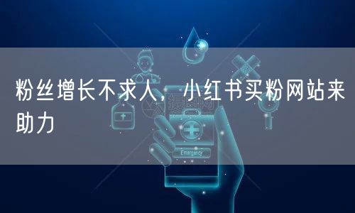 粉丝增长不求人，小红书买粉网站来助力