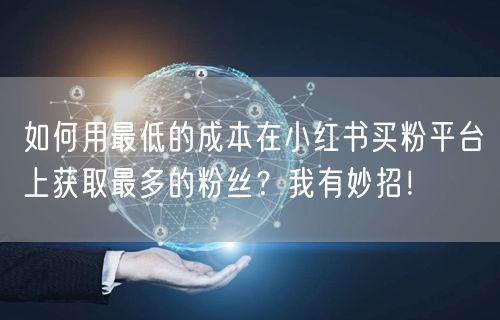 如何用最低的成本在小红书买粉平台上获取最多的粉丝？我有妙招！