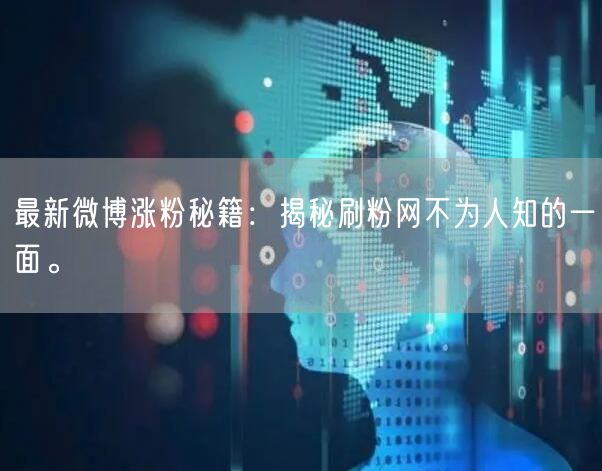 最新微博涨粉秘籍：揭秘刷粉网不为人知的一面。